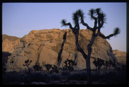 Cyclops Rock Sunrise