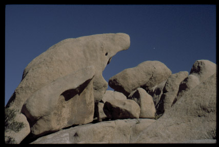 Whale Rock